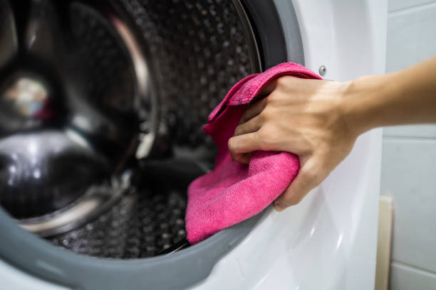 Reliable Mercerville, NJ Mold Removal Solutions