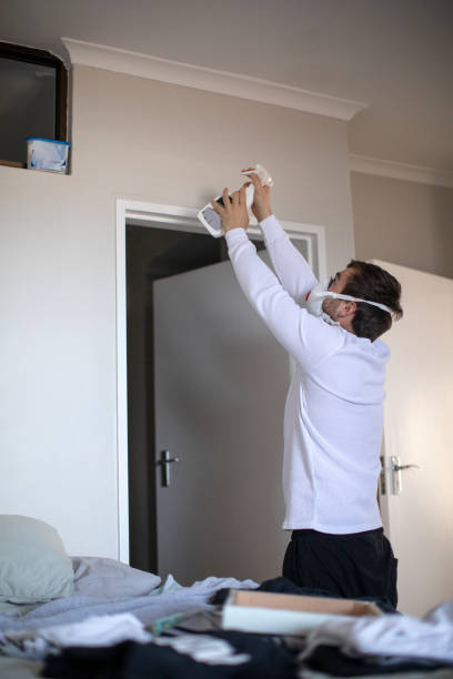 Best Emergency Mold Remediation  in Mercerville, NJ