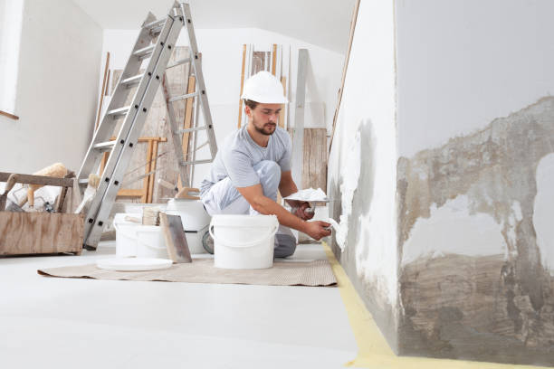 Best Basement Mold Removal  in Mercerville, NJ